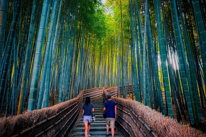 Kyoto Highlights & Hidden Gems in Nature (Private Van Eng-Guide) - Why a private van is the smart way to see Kyoto in 6 hours