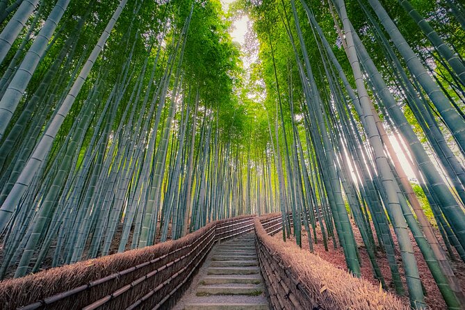 Kyoto Highlights & Hidden Gems in Nature (Private Van Eng-Guide) - Arashiyama-Takao Parkway and the seasonal color drive