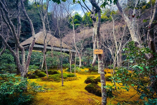 Kyoto Highlights & Hidden Gems in Nature (Private Van Eng-Guide) - Nakagawa Hachiman Shrine, Kitayama cedar trees, and the power of touching roots