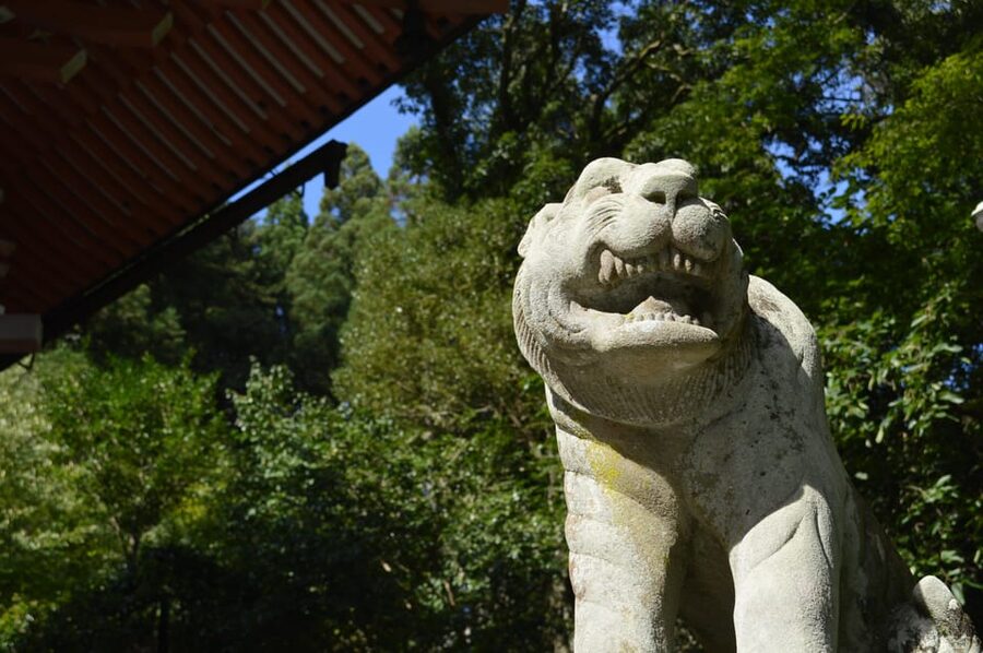 Kyoto: Hike and Hot Springs in Kurama - Who should book this Kurama and Kibune hike