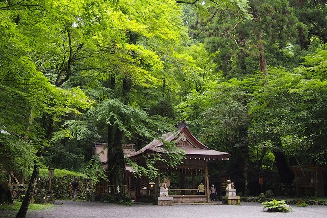 Kyoto Hiking Tour: The Nature and Legends of Kurama and Kibune - Price and logistics: what you are really paying for