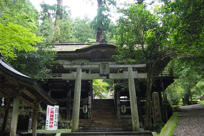 Kyoto Hiking Tour: The Nature and Legends of Kurama and Kibune - Guides make the difference: English explanations and real attention
