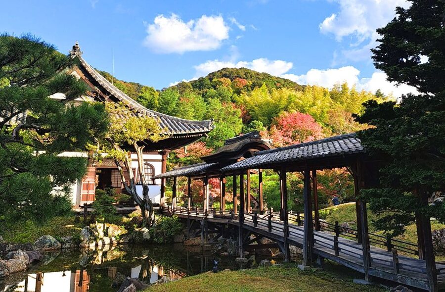 Kyoto: Historic Higashiyama Walking Tour - Fushimi Inari Taisha and the Senbontorii route, guided for meaning