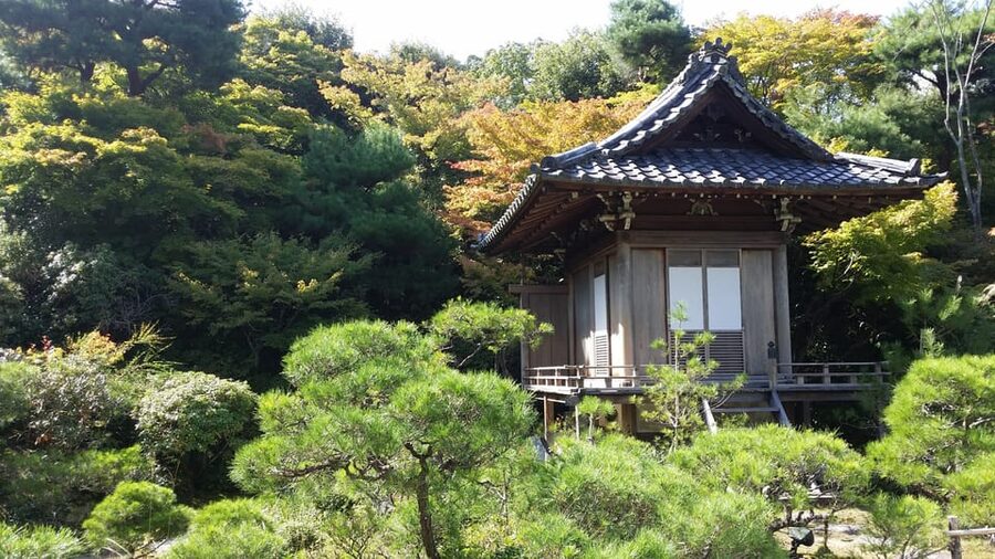 Kyoto: Immersive Arashiyama & Fushimi Inari by Private Car - Tenryu-ji Temple: the garden that sets the tone