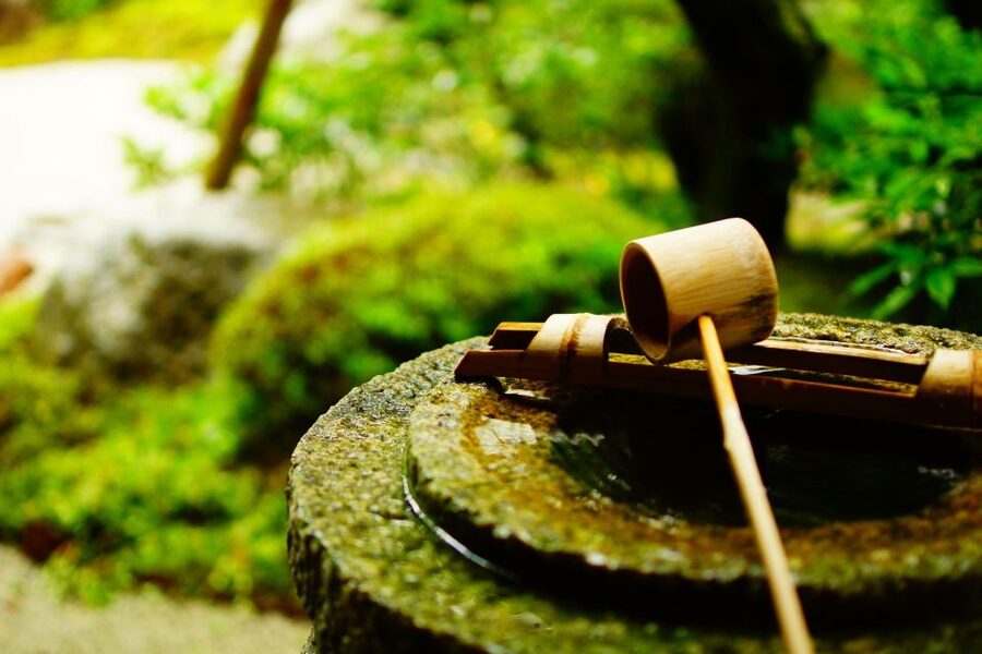 Kyoto: Immersive Arashiyama & Fushimi Inari by Private Car - Okochi Sanso estate: matcha, walking paths, and calm views