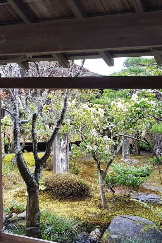 Kyoto: Immersive Arashiyama & Fushimi Inari by Private Car - Fushimi Inari-taisha: torii gates that keep pulling you forward