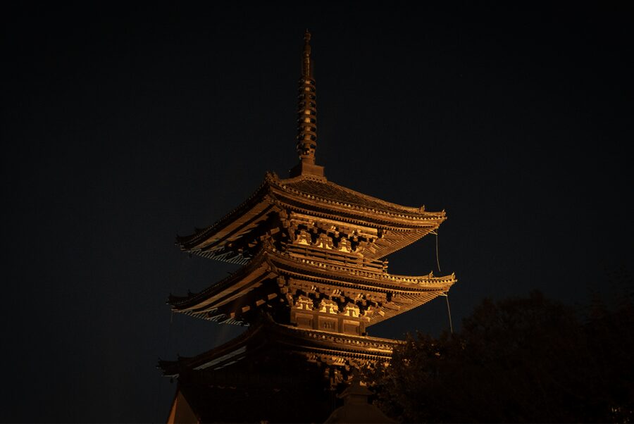 Kyoto: Izakaya Bars Guided Walking Tour - Key Points Before You Go