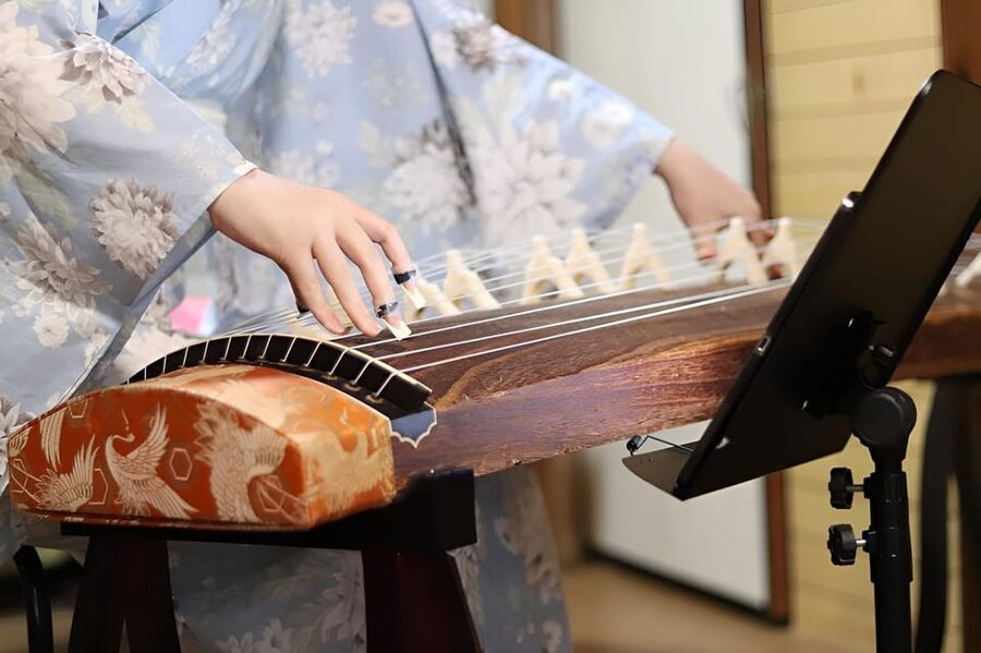Kyoto: Japanese Koto & Shamisen Concert and Koto Class - Where to Fit It in Kyoto, Arashiyama, Nijo Castle, Kinkakuji, Nishiki Market