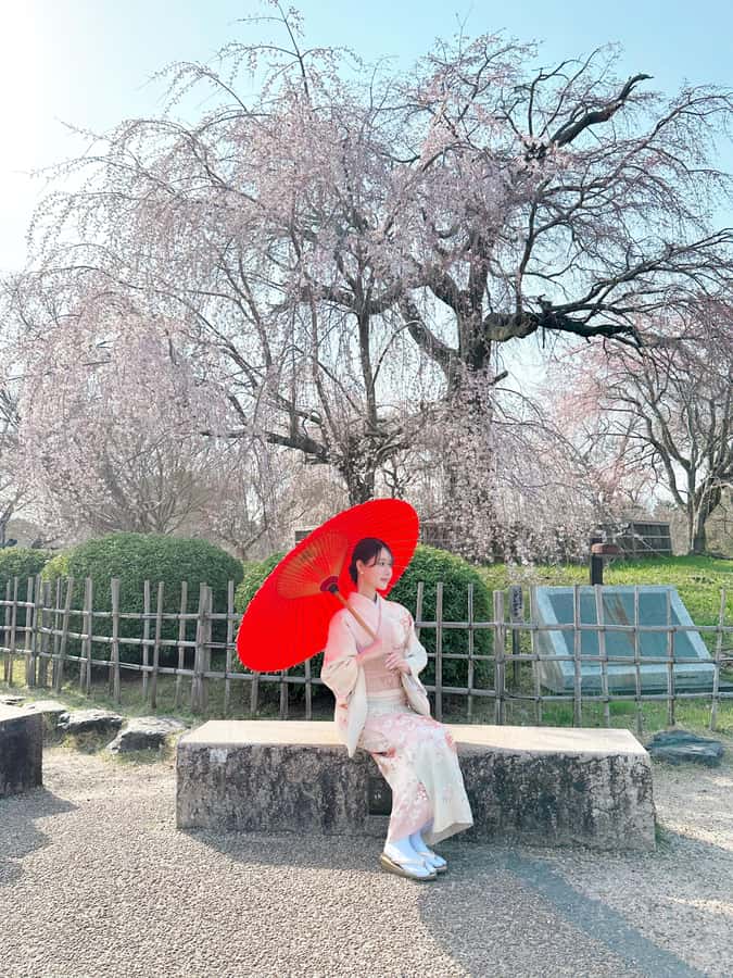 Kyoto: Kimono Rental Traditional Experience at Wargo in Gion - Who This Suits Best, and Who Should Skip It