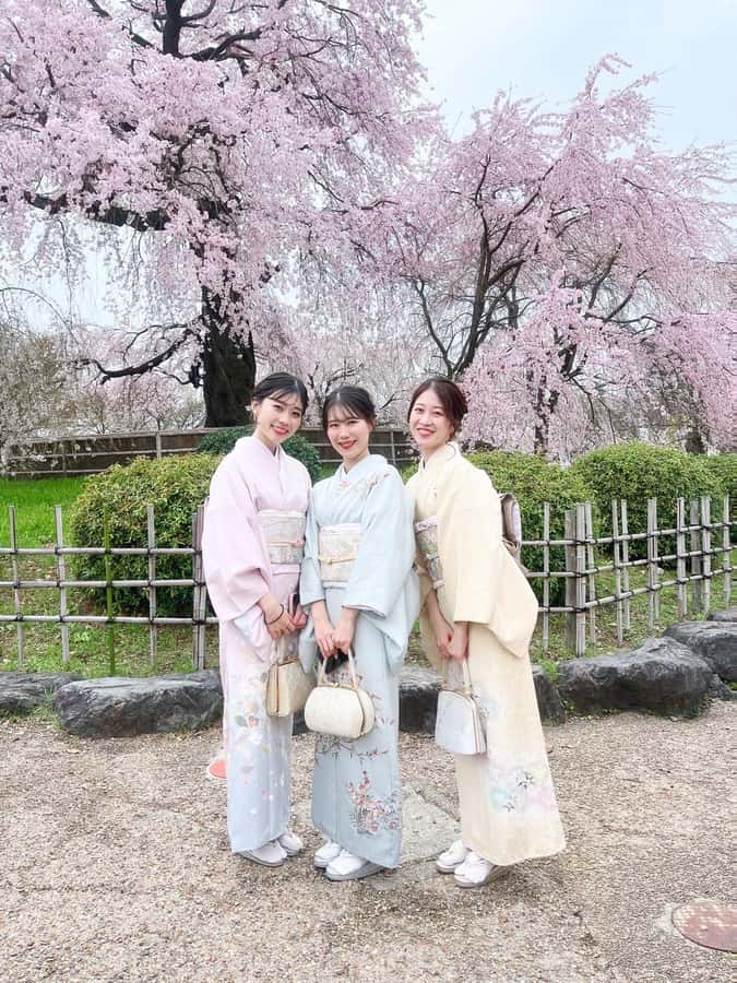 Kyoto: Kimono Rental Traditional Experience at Wargo in Gion - Choosing Your Kimono: Patterns, Grades, and Plus-Size Options