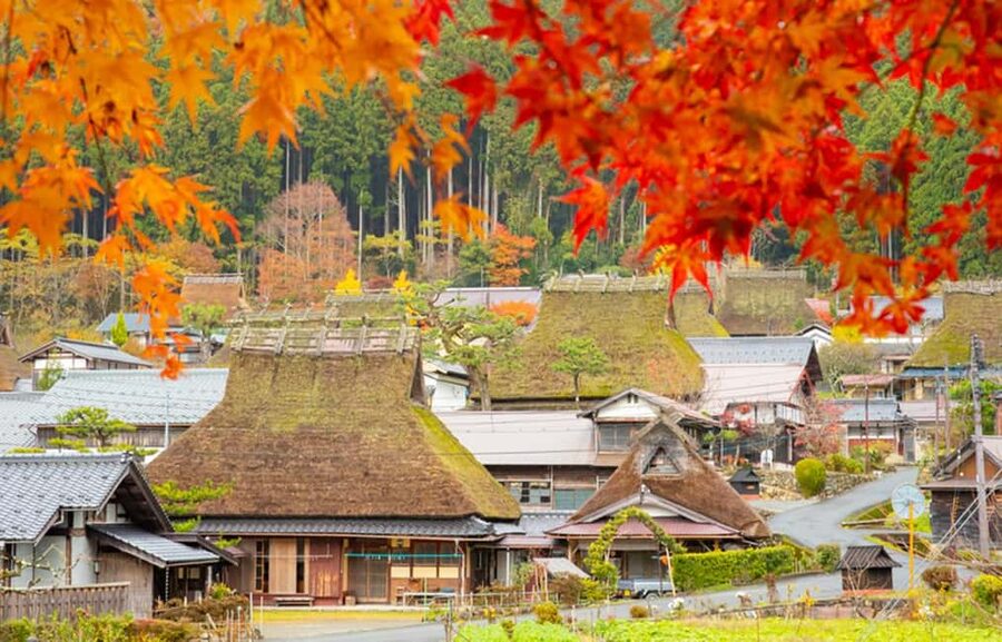 Kyoto: Miyama Village, Amanohashidate & Ine Bay Day Trip - Leaving Osaka Early, and Why That Matters