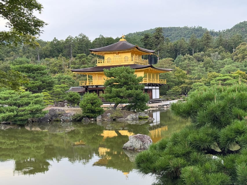 Kyoto & Nara Full Day Customised Tour - What the guide actually does, and why it matters