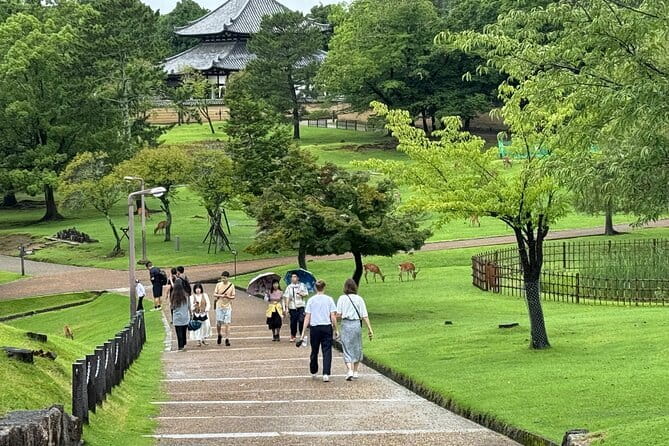Kyoto & Nara Private customized tour with English speaking Guide - A Private Van Day from Osaka: why this setup matters