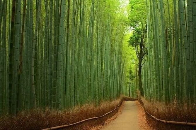 Kyoto & Nara Private customized tour with English speaking Guide - Price and value: what $549 per group gets you