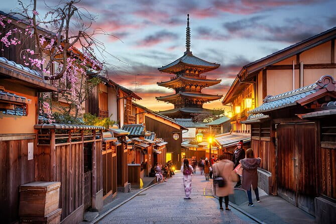 Kyoto & Nara Private Day Tour - Ticket costs: what to budget beyond the tour price