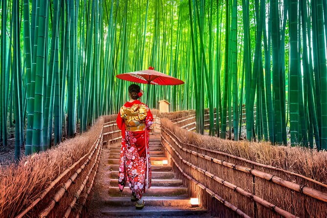 Kyoto & Nara Private Day Tour - The rhythm of a 10-hour day, stop by stop