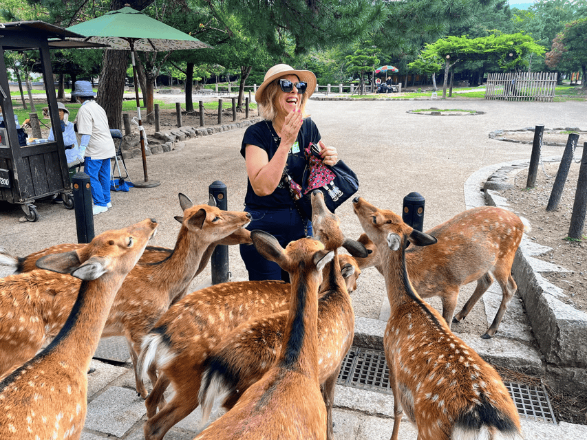 Kyoto: Nara & Traditional Matcha Experience Bus Tour - Why this Nara and Uji combo works better than a rushed Kyoto loop