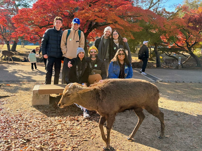 Kyoto: Nara & Traditional Matcha Experience Bus Tour - Todaiji Temple: the Great Buddha moment that still feels huge