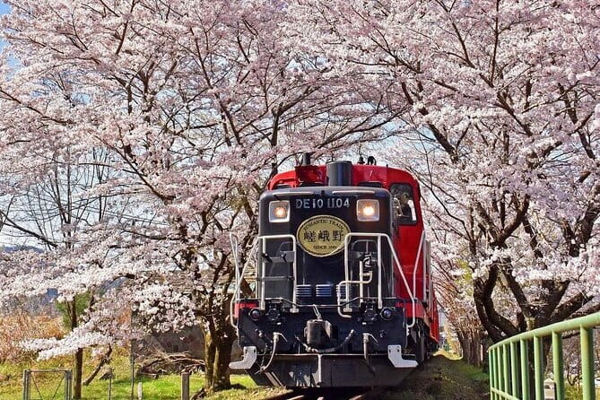 Kyoto & Nara & Uji: Full Day Sightseeing Tour from Osaka or Kyoto - Guides, group pace, and the English factor