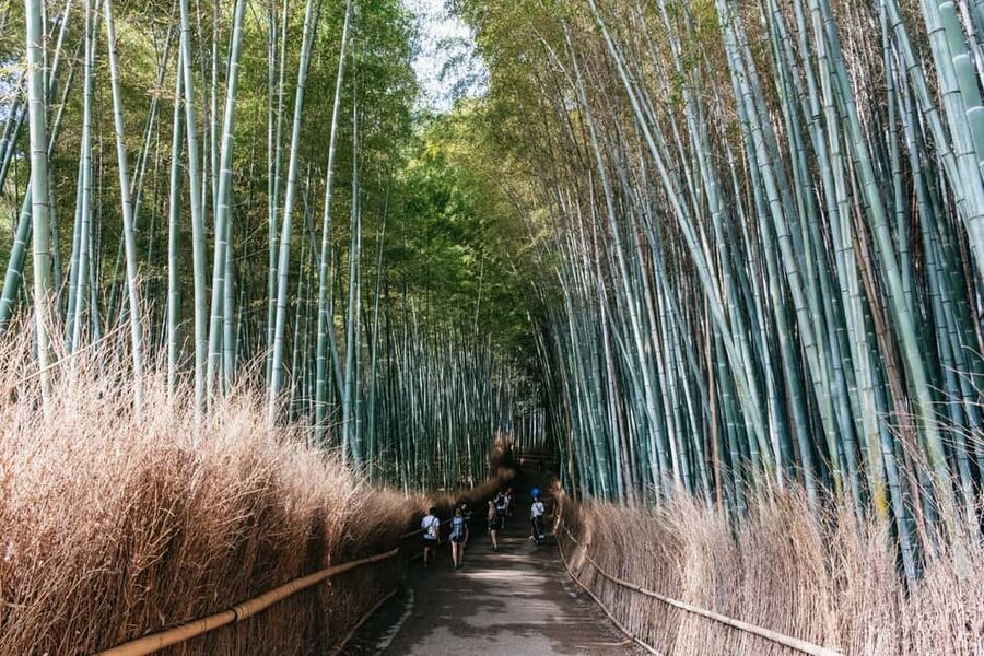 Kyoto: Nijo Castle, Kiyomizu & Fushimi Inari Guided Tour - Kinkaku-ji Golden Pavilion, gold leaf and set timing