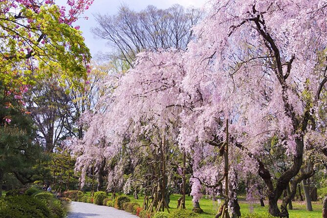 Kyoto: Nijo Castle World Heritage Guided Tour with Admission - The Nightingale Floors: How the Castle Catches Intruders