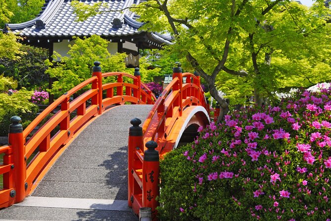 Kyoto: Nijo Castle World Heritage Guided Tour with Admission - Koi Carp Moats and Photo Angles You’ll Want to Revisit