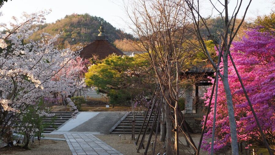 Kyoto: Ninnaji Temple Entry Ticket - Ticketing details and opening hours that affect your day