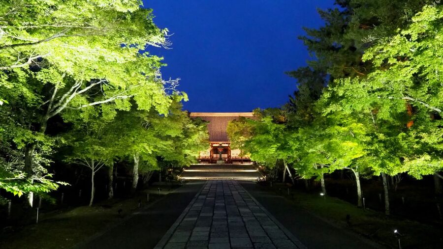 Kyoto: Ninnaji Temple Entry Ticket - Seasons at Ninna-ji: what changes, and how to enjoy each one