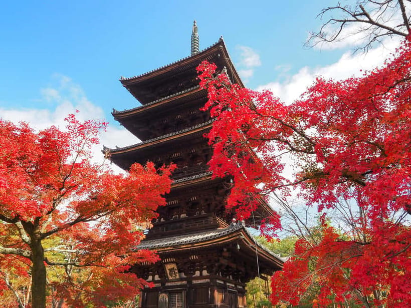 Kyoto: Ninnaji Temple Entry Ticket - What you actually get with your Ninnaji entry ticket