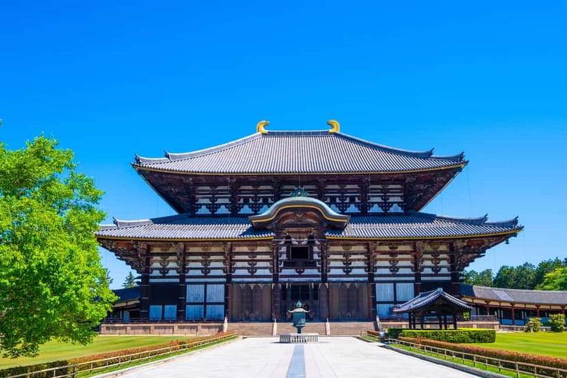 Kyoto/Osaka: Kinkakuji, Bamboo Forest, and Nara Deer Park - A Day That Stitches Kyoto and Nara Into One Plan
