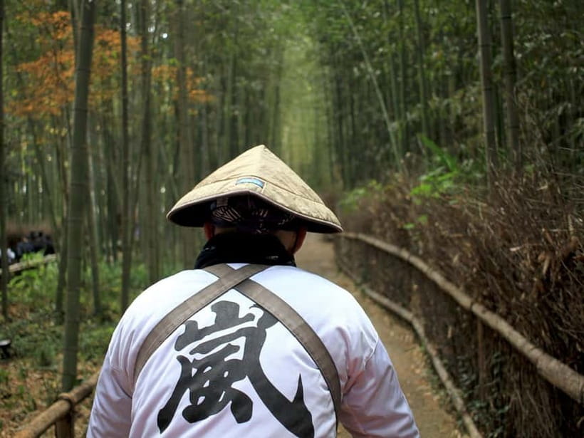 Kyoto/Osaka: Kinkakuji, Bamboo Forest, and Nara Deer Park - Todaiji Temple and the Great Buddha: The Moment That Changes the Scale