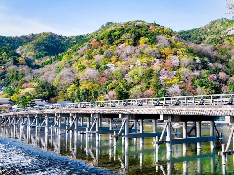 Kyoto/Osaka: Kinkakuji, Bamboo Forest, and Nara Deer Park - How the Guide Makes or Breaks the Day