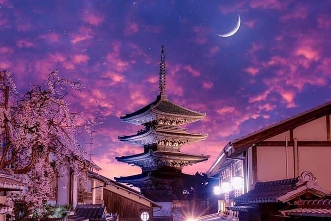 Kyoto, Osaka, Nara Private Tour by Car English Driver Guide - Osaka by car: castles, temples, Dotonbori, and views from above