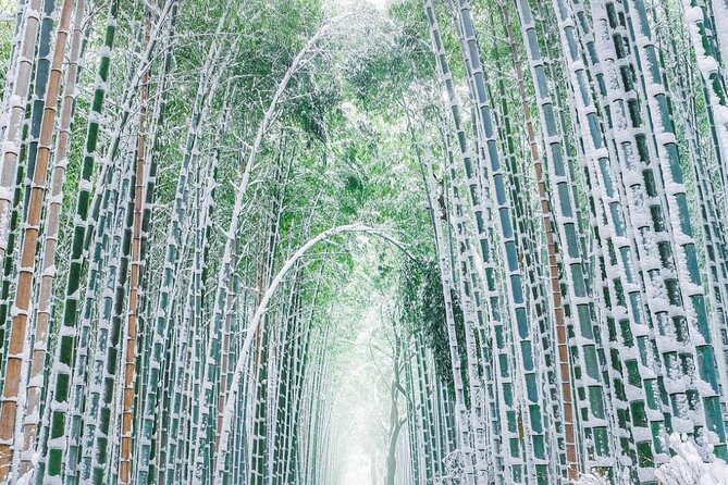 Kyoto, Osaka, Nara Private Tour by Car English Driver Guide - English communication: where this tour shines, and where it can mismatch