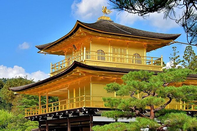 Kyoto, Osaka, Nara Private Tour by Car English Driver Guide - Budget reality: what’s included, what you still pay