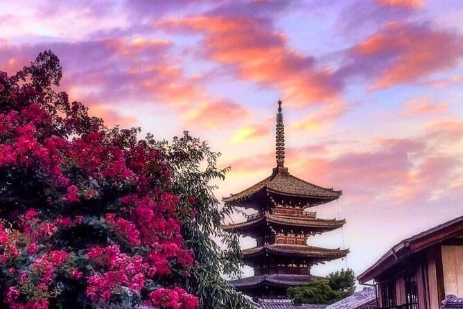 Kyoto, Osaka, Nara Private Tour by Car English Driver Guide - Kyoto in one long day: Arashiyama, temples, shrine paths, and Nishiki Market