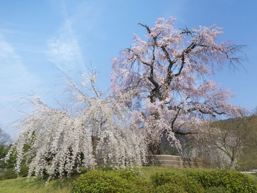 Kyoto: Private 2.5 Hour Historical Walking Tour - FAQ