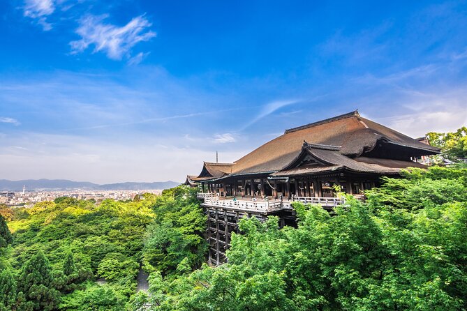 Kyoto Private 6 hour Tour: English Speaking Driver Only, No Guide - Building your 6-hour route: flexibility without chaos