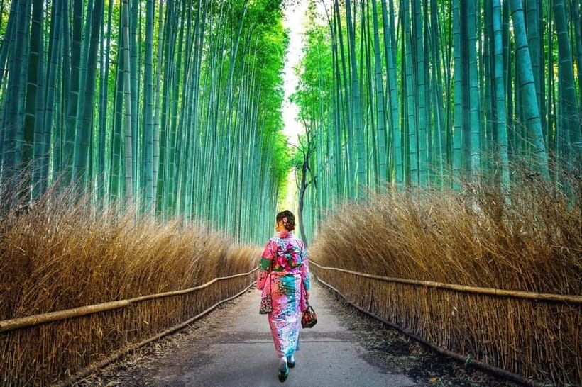 Kyoto: Private Customizable Day Tour with Guide and Vehicle - Key things to know