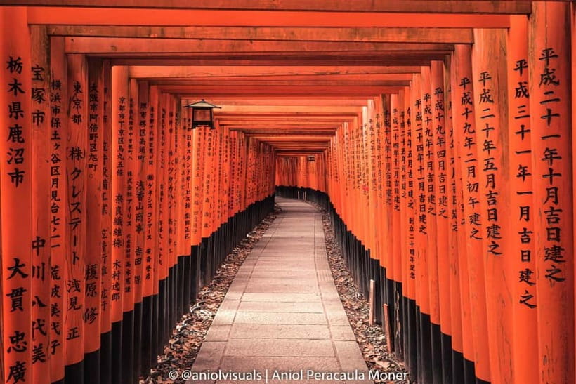 Kyoto: Private Customizable Day Tour with Guide and Vehicle - Customizing your day without losing the structure