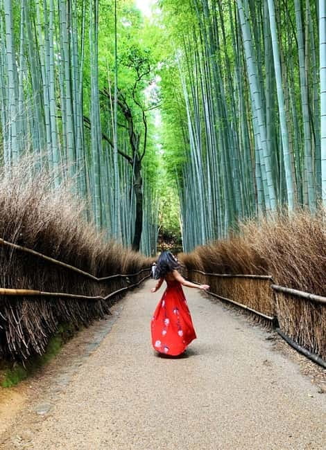 Kyoto: Private Customizable Day Tour with Guide and Vehicle - Gion district: lantern streets and slower walking