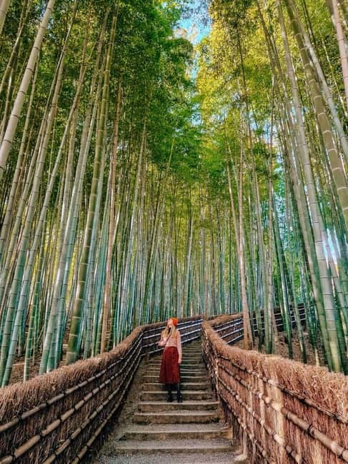 Kyoto: Private Customizable Day Tour with Guide and Vehicle - Fushimi Inari Taisha, torii gates, and the timing trick