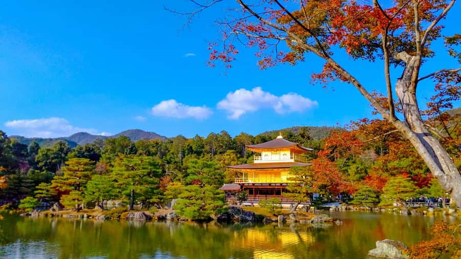 Kyoto: Private Customizable Day Trip by Car - Price reality check: $581 per group, and why it can still be worth it