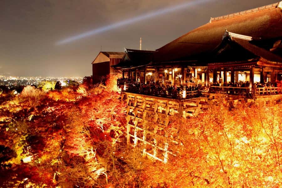 Kyoto: Private Customizable Day Trip by Car - Comfort rules that matter: shoes, no large bags, and a driver who won’t chase you
