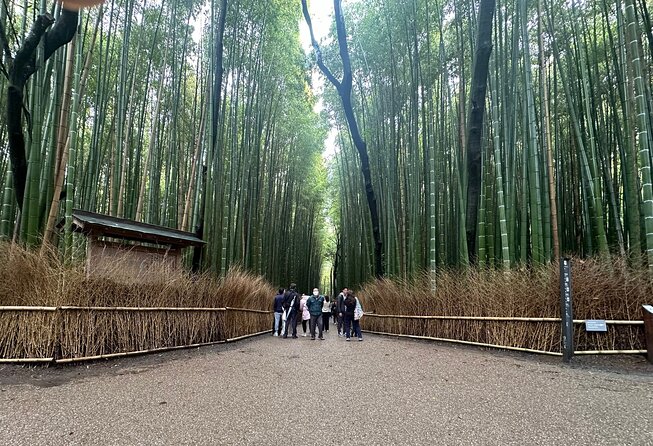 Kyoto Private Customizable Day Trip With English chauffeur - Key highlights you will feel all day