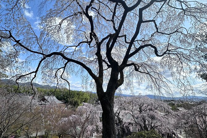 Kyoto Private Customizable Day Trip With English chauffeur - Ginkakuji and Kiyomizu-dera: the Zen feel, then the big city view