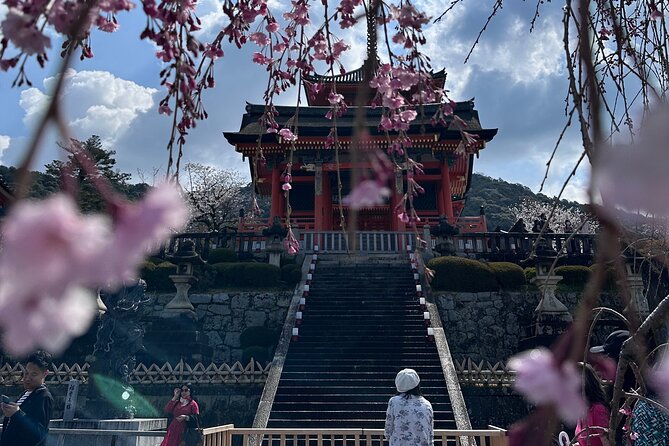 Kyoto Private Customizable Day Trip With English chauffeur - Fushimi Inari Taisha: the torii walk that deserves time