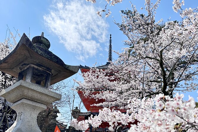 Kyoto Private Customizable Day Trip With English chauffeur - Customization that actually changes your day