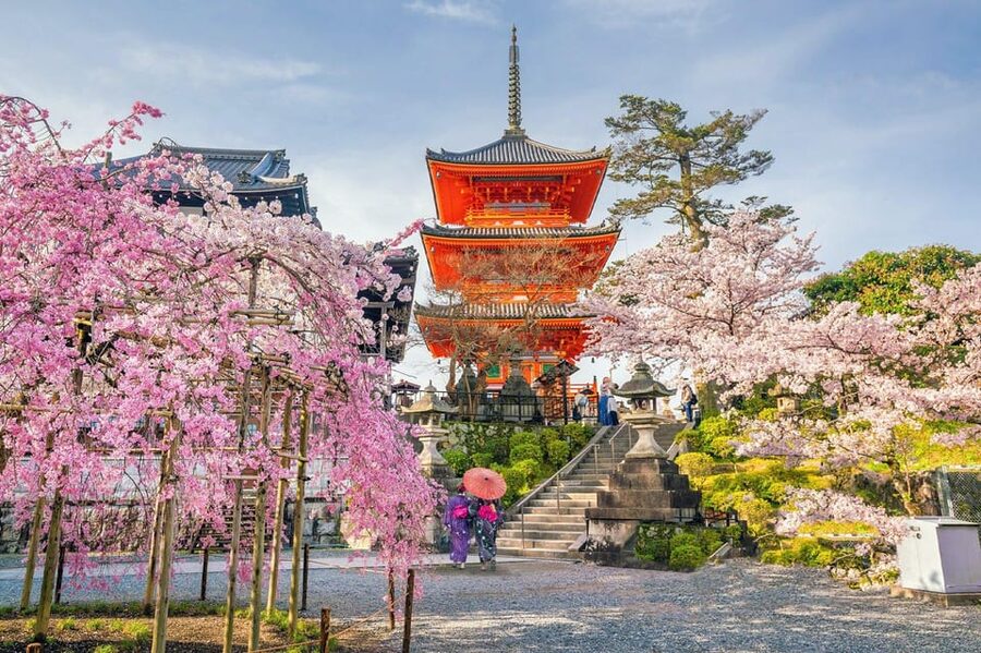 Kyoto: Private Highlights Tour with Guide and Luxury Vehicle - Kiyomizu-dera, the panoramic stage views, and walking the old streets