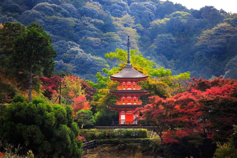 Kyoto: Private Highlights Tour with Guide and Luxury Vehicle - Ginkaku-ji as the calmer counterweight